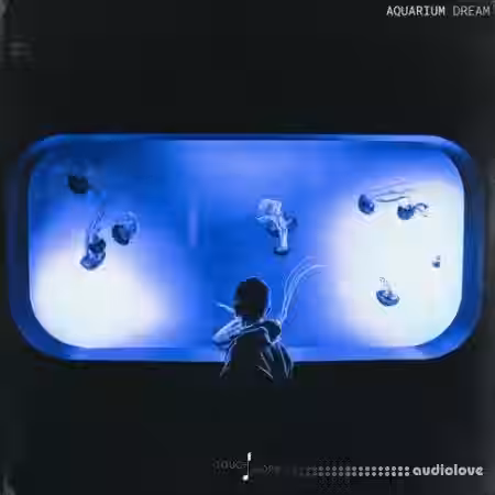 Touch Loops Aquarium Dream [WAV, MiDi] - Sample Pack Artwork
