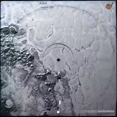 Touch Loops Darkwave Expansions [WAV, MiDi] - Sample Pack Artwork