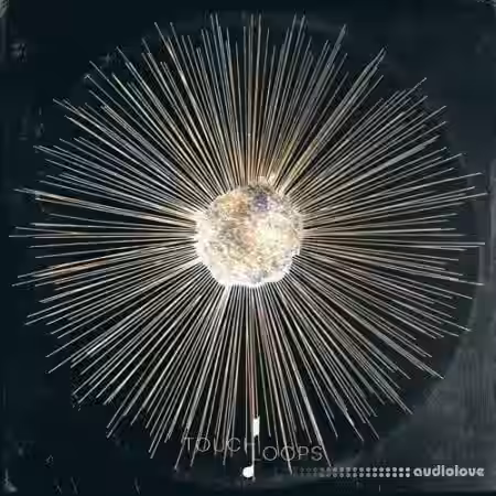 Touch Loops Dusty Projections [WAV] - Sample Pack Artwork