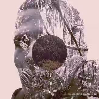 Touch Loops Ethereal Beats [WAV, MiDi]