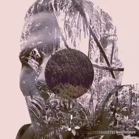 Touch Loops Ethereal Beats [WAV, MiDi] - Sample Pack Artwork