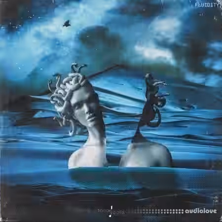 Touch Loops Fluidity [WAV] - Sample Pack Artwork