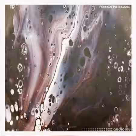 Touch Loops Foreign Interludes [WAV] - Sample Pack Artwork