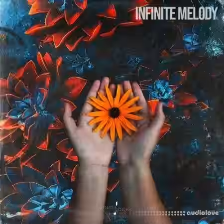 Touch Loops Infinite Melody [WAV] - Sample Pack Artwork