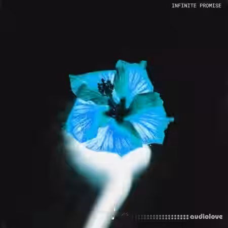 Touch Loops Infinite Promise [WAV] - Sample Pack Artwork