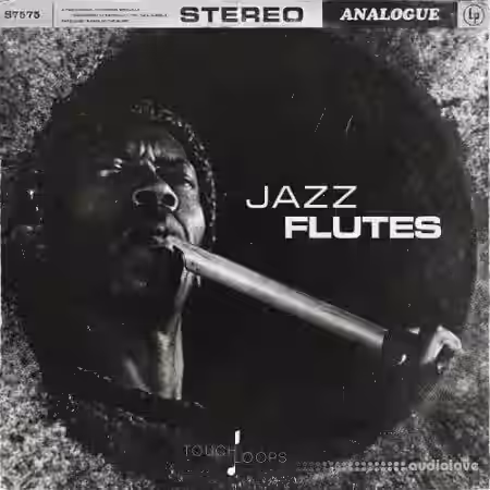 Touch Loops Jazz Flutes [WAV] - Sample Pack Artwork