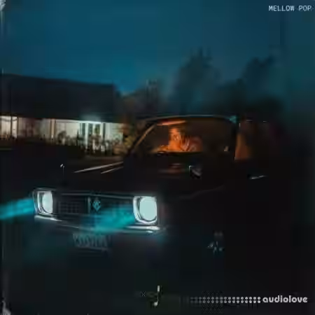 Touch Loops Mellow Pop [WAV] - Sample Pack Artwork