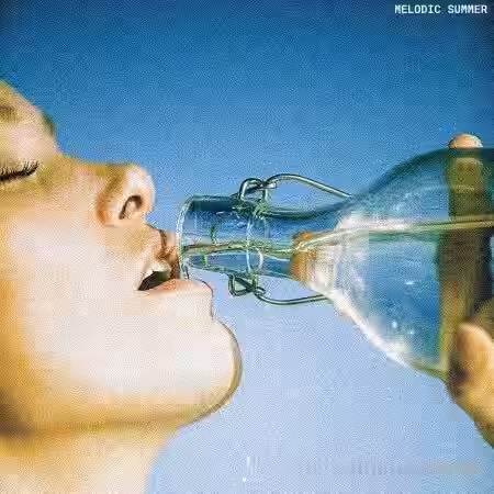 Touch Loops Melodic Summer [WAV] - Sample Pack Artwork