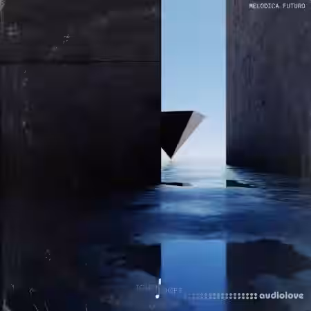 Touch Loops Melodica Futuro [WAV] - Sample Pack Artwork