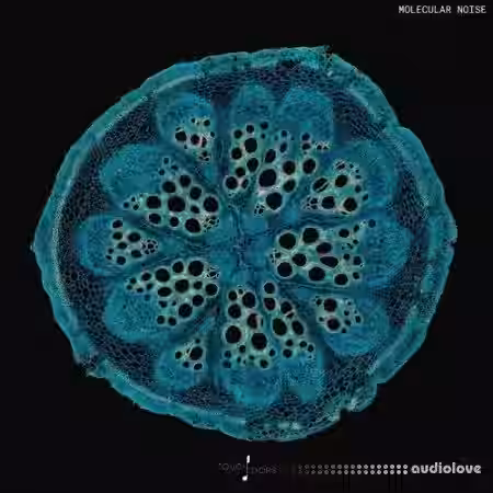 Touch Loops Molecular Noise [WAV] - Sample Pack Artwork