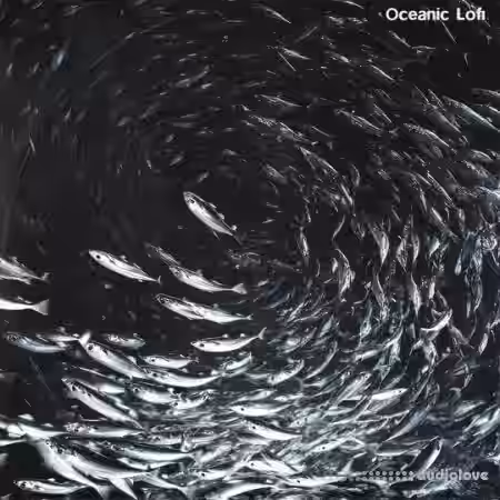 Touch Loops Oceanic LoFi [WAV] - Sample Pack Artwork