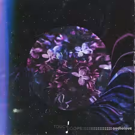 Touch Loops Organic House [WAV, MiDi] - Sample Pack Artwork