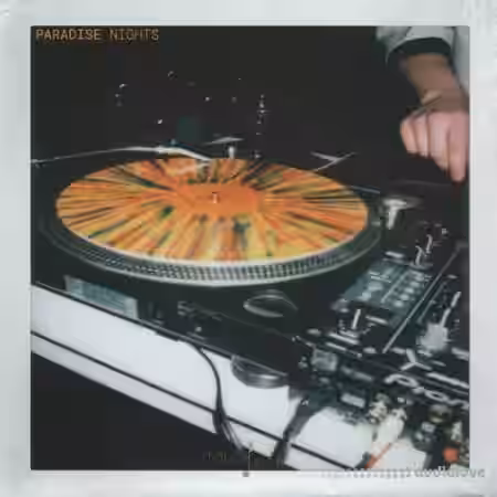 Touch Loops Paradise Nights [WAV] - Sample Pack Artwork