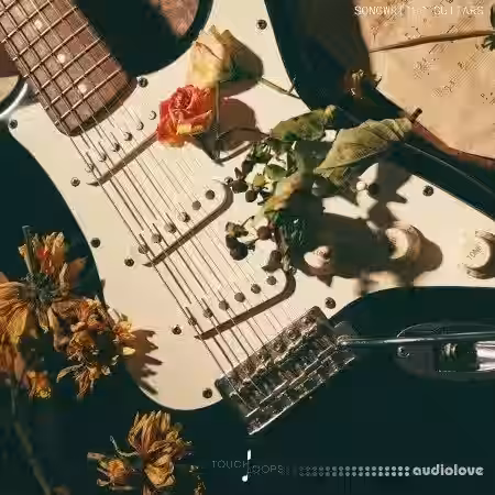 Touch Loops Songwriter Guitars [WAV] - Sample Pack Artwork