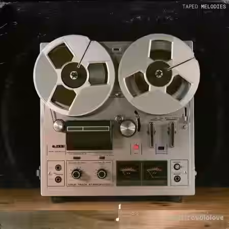 Touch Loops Taped Melodies [WAV, MiDi] - Sample Pack Artwork