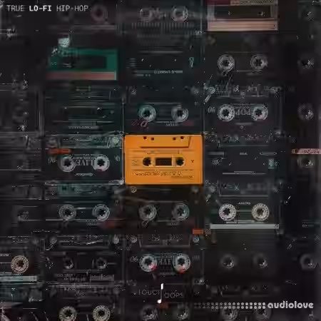 Touch Loops True Lo-Fi Hip Hop [WAV] - Sample Pack Artwork