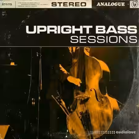 Touch Loops Upright Bass Sessions [WAV] - Sample Pack Artwork