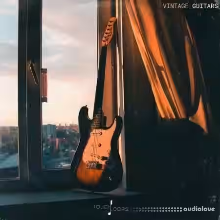 Touch Loops Vintage Guitars [WAV] - Sample Pack Artwork