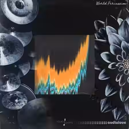 Touch Loops World Percussion [WAV] - Sample Pack Artwork