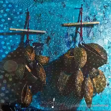 Touch Loops World Shakers [WAV, MiDi] - Sample Pack Artwork