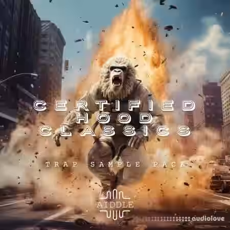 TrakTrain AIDDLE Certified Hood Classics [WAV] - Sample Pack Artwork