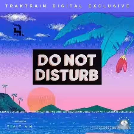 TrakTrain Do Not Disturb Guitar Loop Kit [WAV] - Sample Pack Artwork