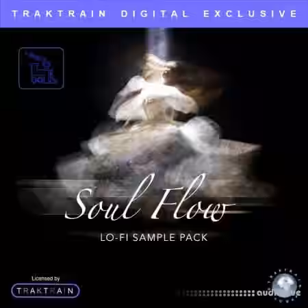 TrakTrain Soul Flow Lo-Fi Sample Pack [WAV] - Sample Pack Artwork