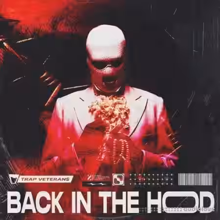 Trap Veterans Back In The Hood [WAV] - Sample Pack Artwork