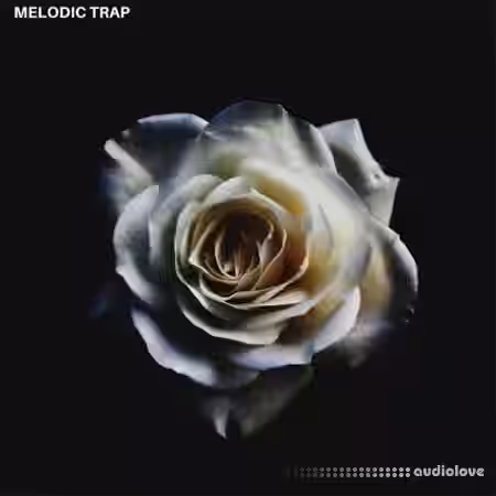 Triad Sounds Modern Samples Melodic Trap [WAV] - Sample Pack Artwork