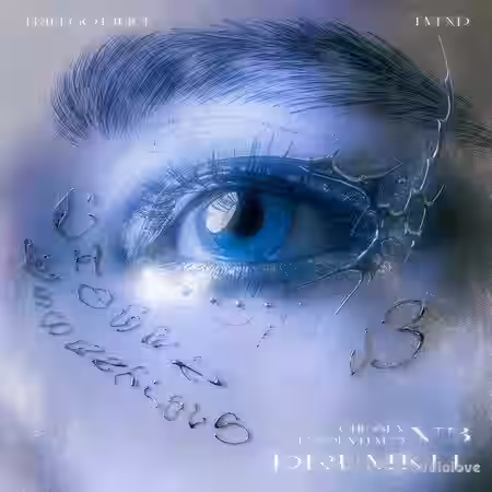 TrillGotJuice Chosen Essentials Vol.3 Sound Kit [WAV, MiDi, DAW Templates] - Sample Pack Artwork