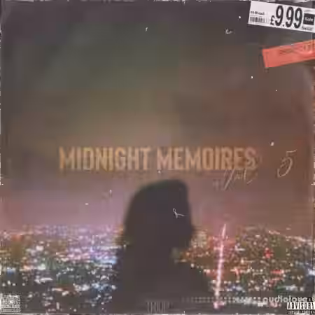 Triop Midnight Memoires Vol.5 [WAV] - Sample Pack Artwork