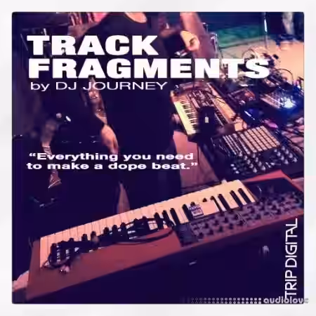 Trip Digital Track Fragments [WAV] - Sample Pack Artwork
