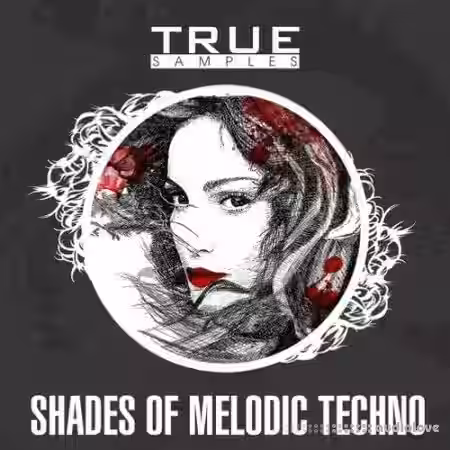 True Samples Shades Of Melodic Techno [WAV, MiDi, Synth Presets] - Sample Pack Artwork
