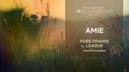 Truefire Tyler Grant's Song Lesson: Amie [TUTORiAL] - Sample Pack Artwork