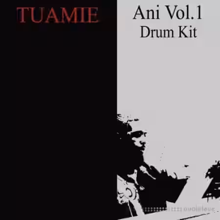 TUAMIE Ani Vol.1 Drum Kit [WAV] - Sample Pack Artwork