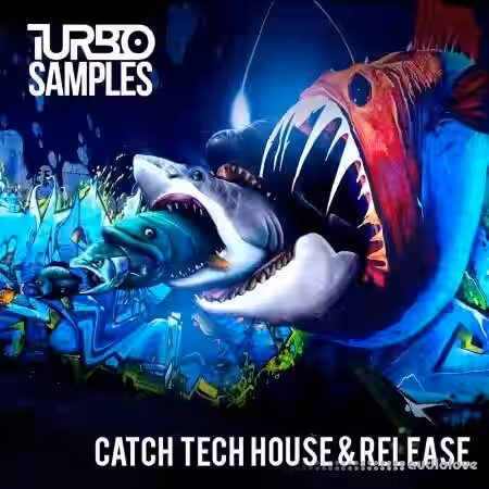 Turbo Samples Catch Tech House and Release [WAV, MiDi] - Sample Pack Artwork