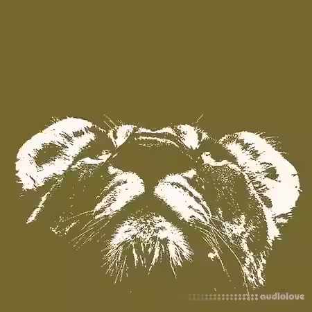 Two Track Sound Dub Ballistics [WAV] - Sample Pack Artwork