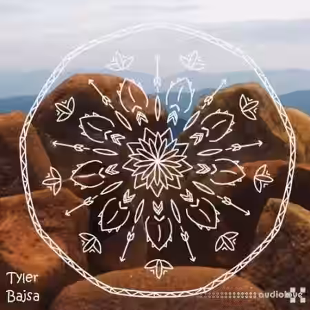 Tyler Bajsa The Canyon [KONTAKT] - Sample Pack Artwork