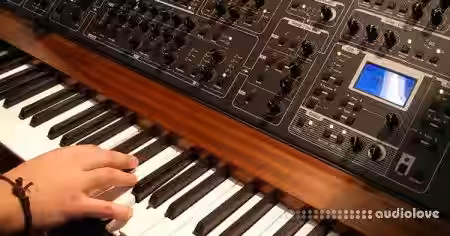 Udemy #1 Read Music Notes Fast Beginners Music Note Attack [TUTORiAL] - Sample Pack Artwork