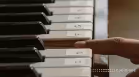 Udemy Ear Training Course For Musicians [TUTORiAL] - Sample Pack Artwork