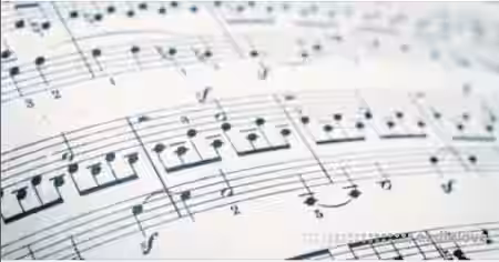 Udemy Music Composition 2 (Updated 10.2019) [TUTORiAL] - Sample Pack Artwork