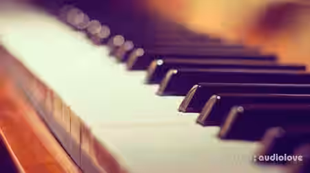 Udemy Piano Lessons For Absolute Beginners [TUTORiAL] - Sample Pack Artwork