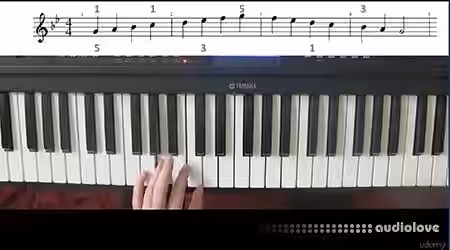 Udemy Playing Piano Scales and Arpeggios Vol.2 Minor Keys [TUTORiAL] - Sample Pack Artwork