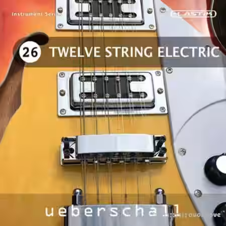 Ueberschall Twelve String Electric [Elastik] - Sample Pack Artwork