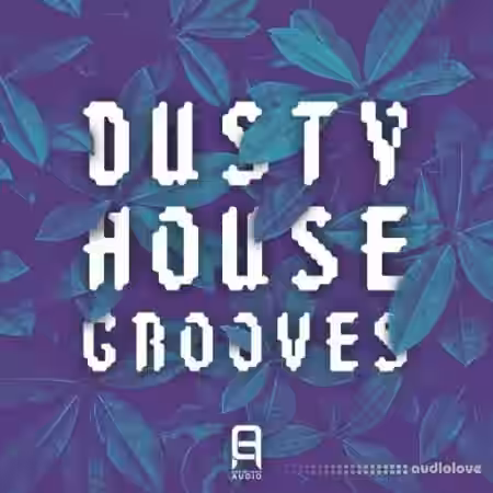 Ultimate Loops Dusty House Grooves [WAV] - Sample Pack Artwork