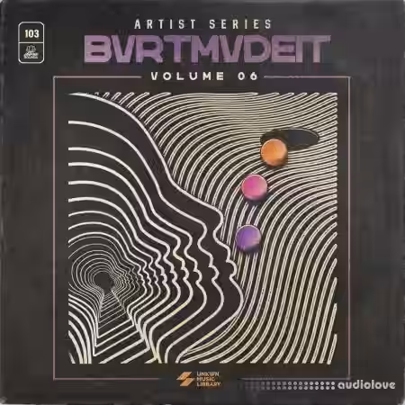 UNKWN Sounds BVRTMVDEIT Vol.6 (Compositions and Stems) [WAV] - Sample Pack Artwork