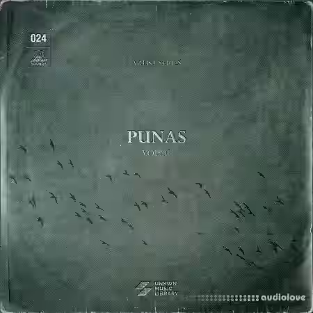 UNKWN Sounds Punas Vol.1 (Compositions and Stems) [WAV] - Sample Pack Artwork