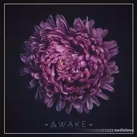 Unmute Awake [WAV, MiDi, Synth Presets] - Sample Pack Artwork