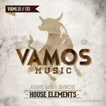 Vamos Music Jeremy Bass and Branchie House Elements [WAV] - Sample Pack Artwork