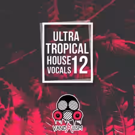 Vandalism Ultra Tropical House Vocals 12 [WAV, MiDi] - Sample Pack Artwork
